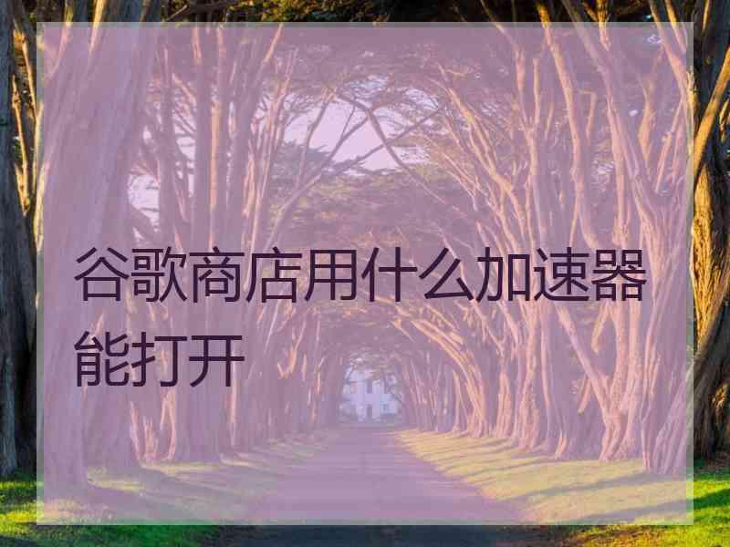 谷歌商店用什么加速器能打开
