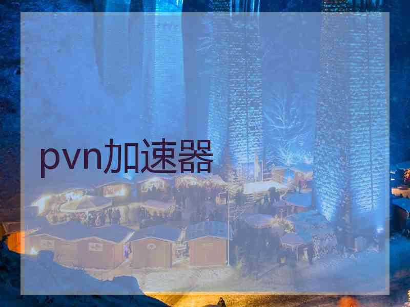 pvn加速器