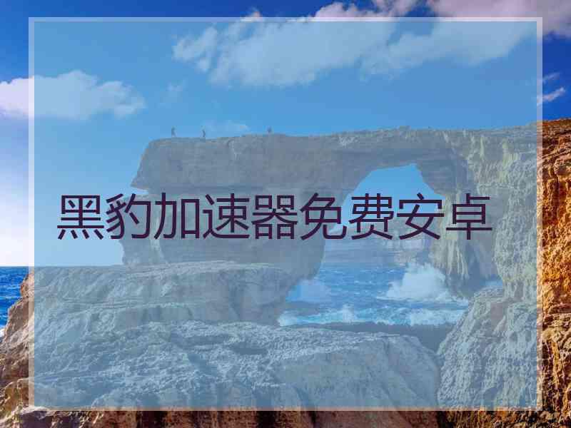 黑豹加速器免费安卓