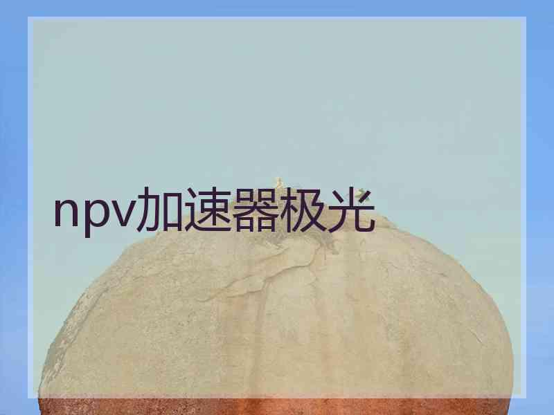 npv加速器极光