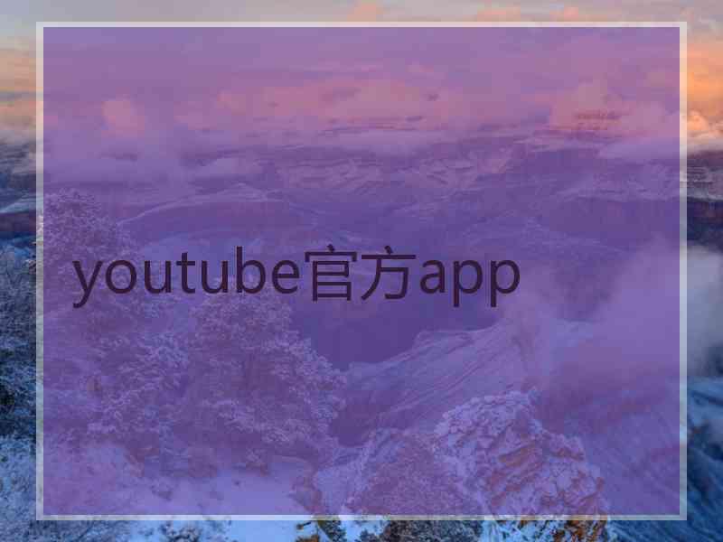 youtube官方app