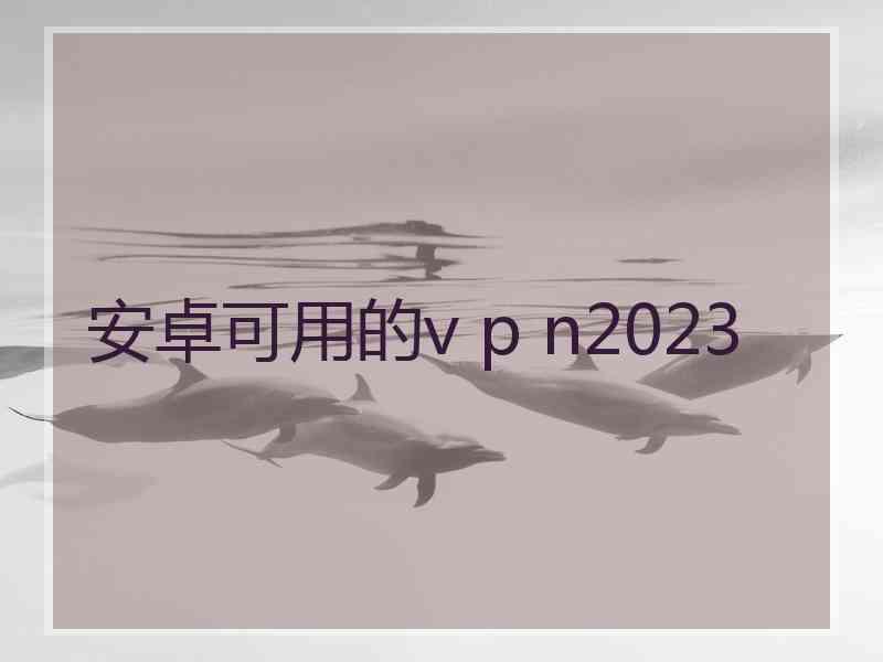 安卓可用的v p n2023