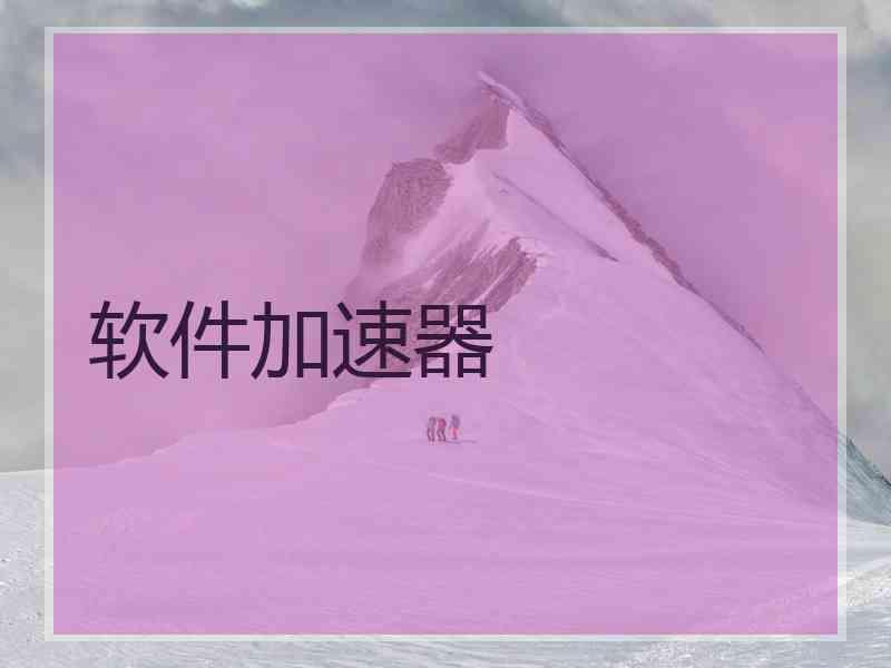 软件加速器