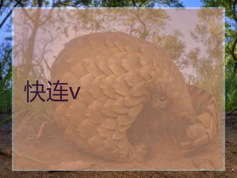 快连v