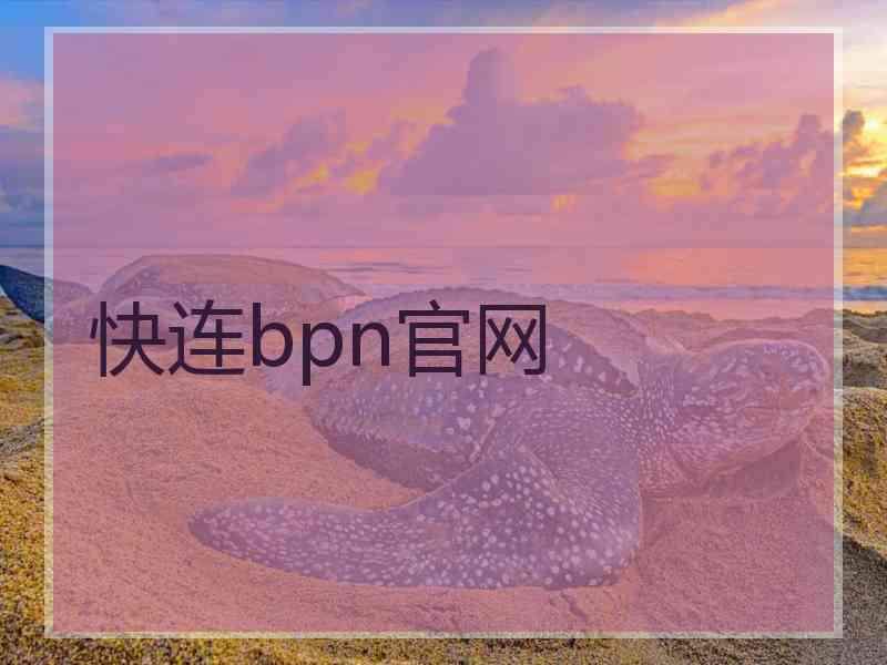 快连bpn官网