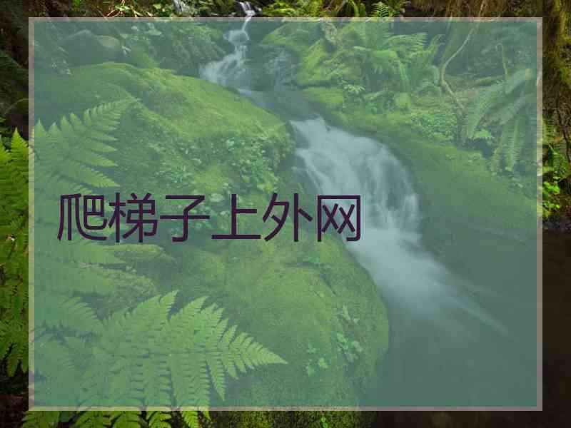 爬梯子上外网