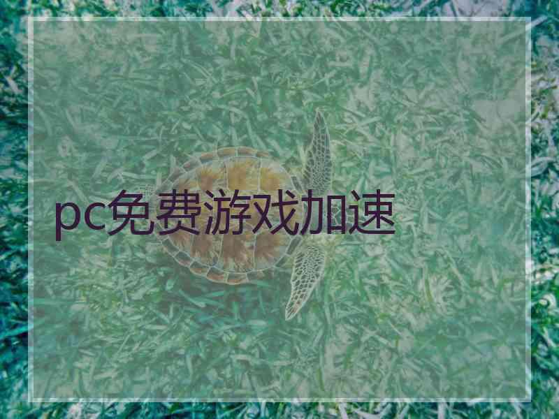 pc免费游戏加速