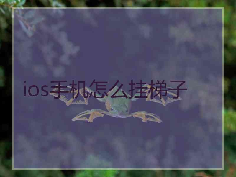 ios手机怎么挂梯子