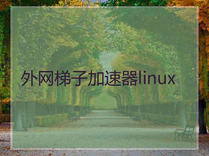 外网梯子加速器linux