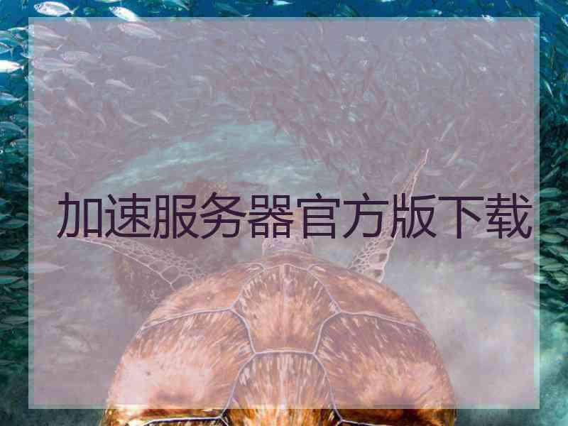 加速服务器官方版下载