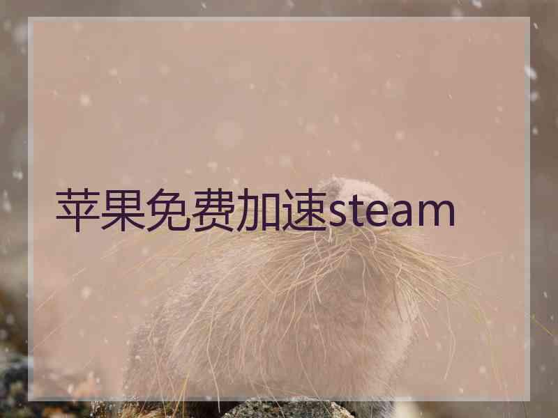 苹果免费加速steam