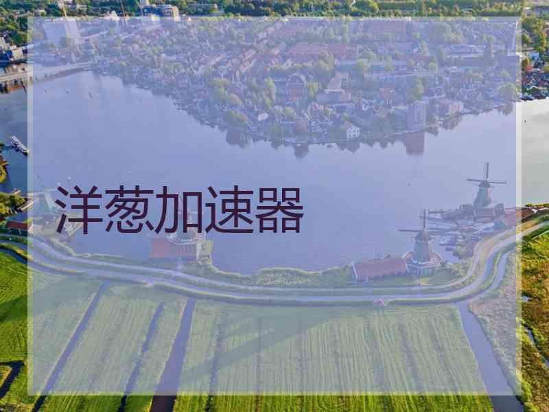 洋葱加速器
