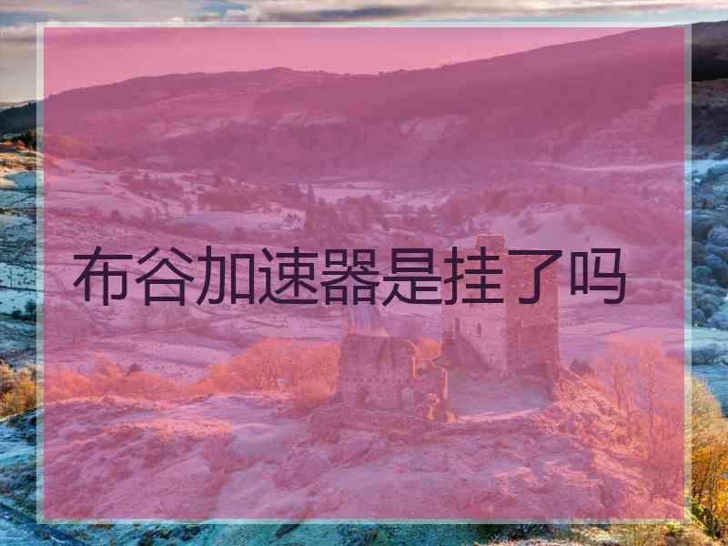 布谷加速器是挂了吗