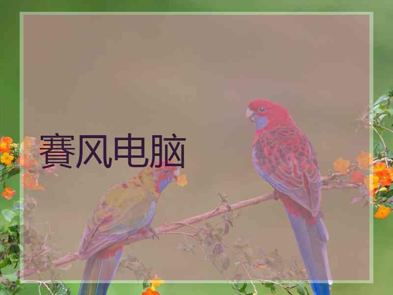 賽风电脑