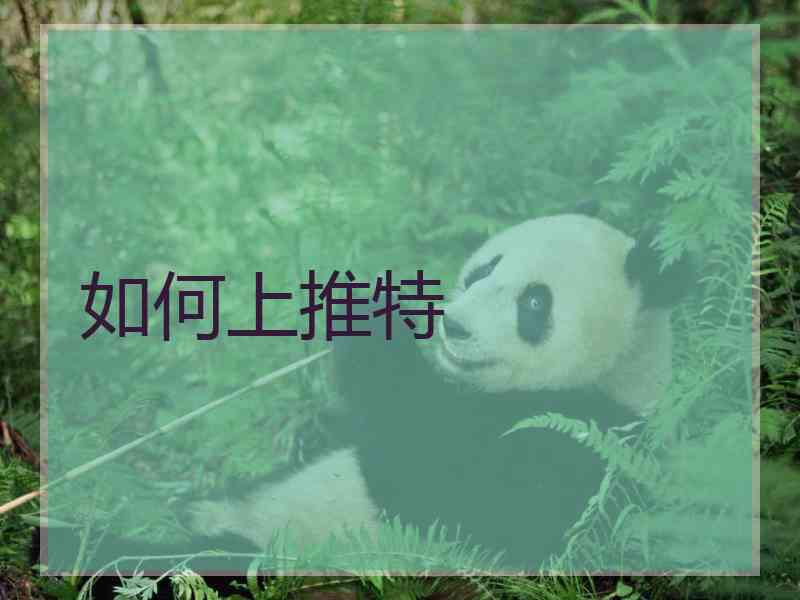 如何上推特