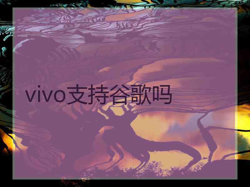 vivo支持谷歌吗
