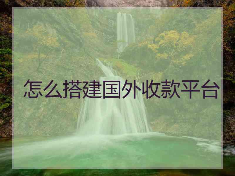 怎么搭建国外收款平台