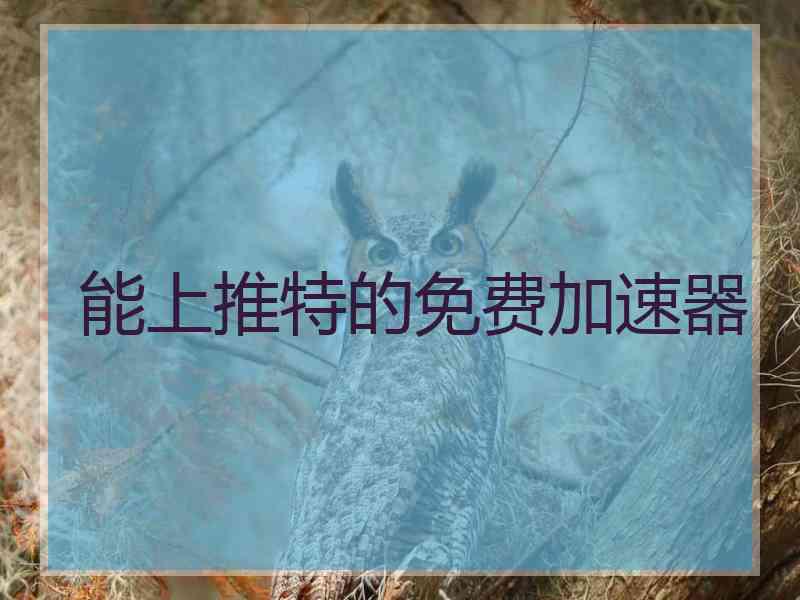 能上推特的免费加速器