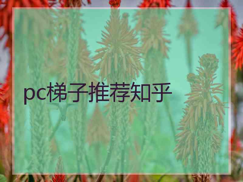 pc梯子推荐知乎