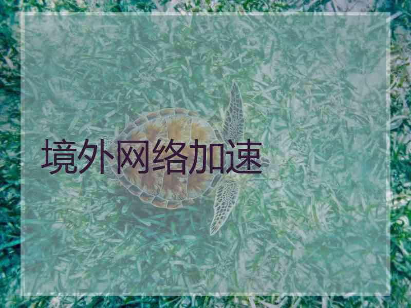 境外网络加速