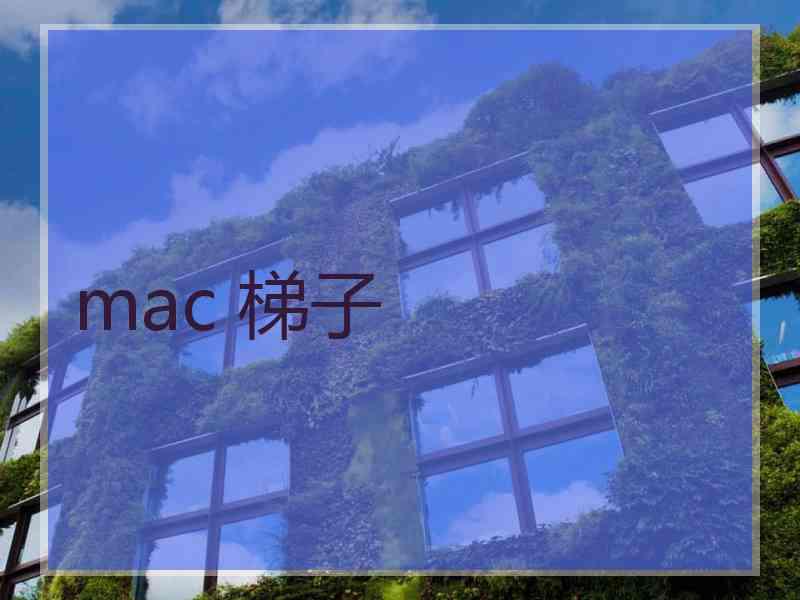 mac 梯子