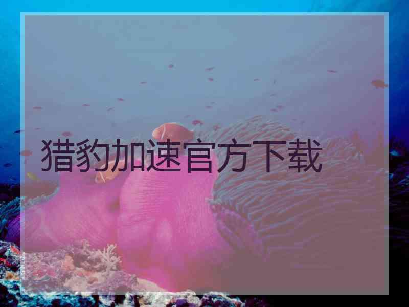 猎豹加速官方下载