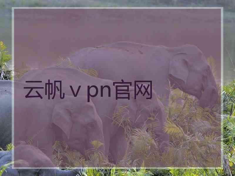 云帆ⅴpn官网