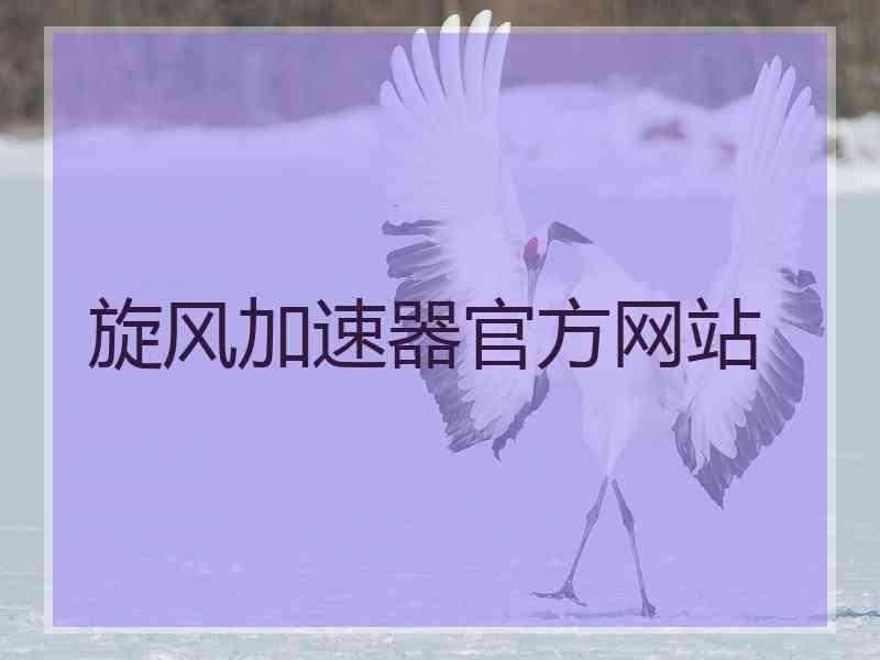 旋风加速器官方网站