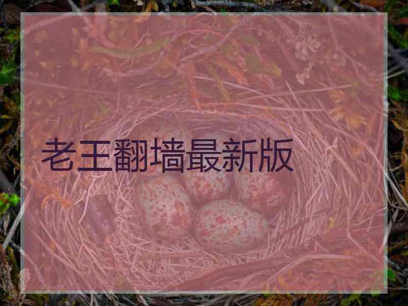 老王翻墙最新版