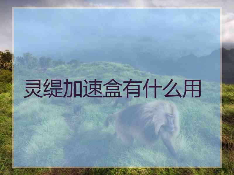 灵缇加速盒有什么用