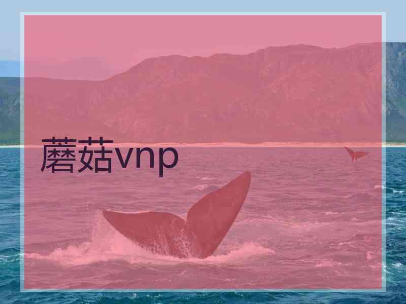 蘑菇vnp