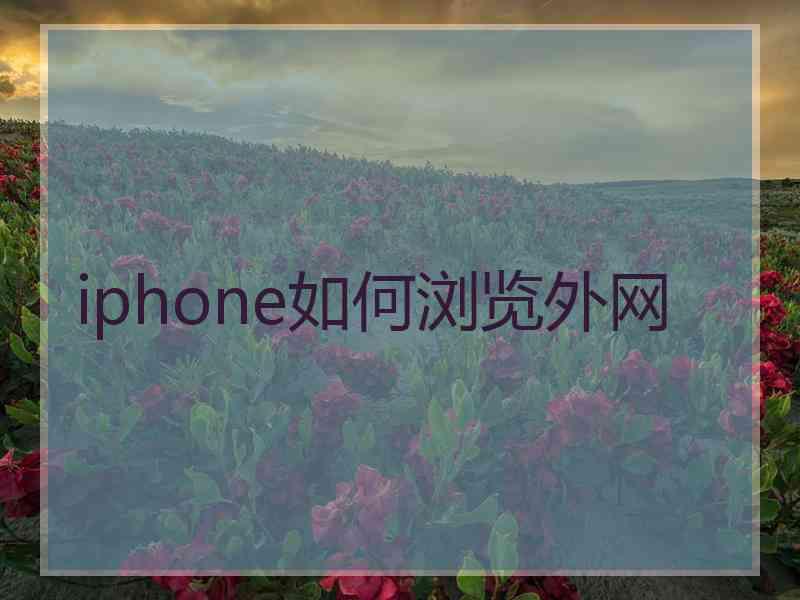 iphone如何浏览外网