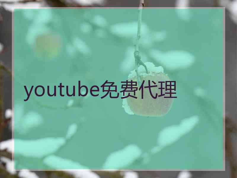 youtube免费代理