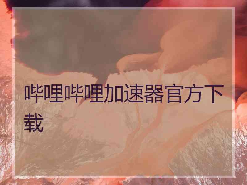 哔哩哔哩加速器官方下载