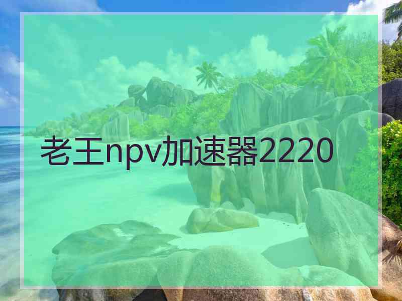 老王npv加速器2220