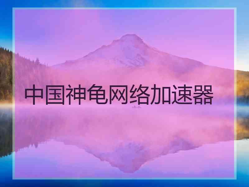 中国神龟网络加速器