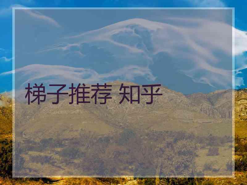 梯子推荐 知乎