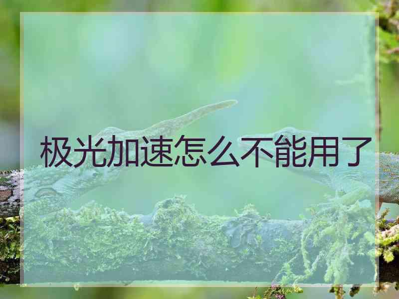 极光加速怎么不能用了