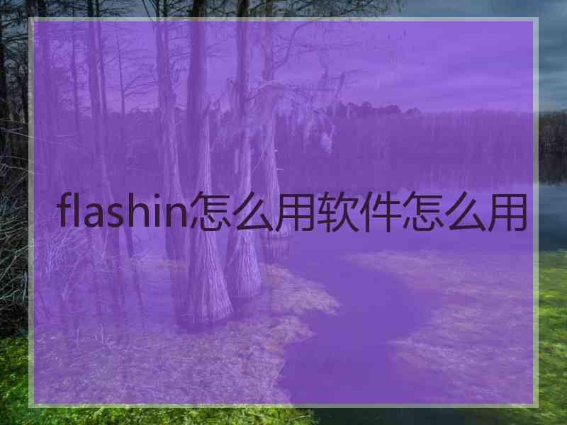 flashin怎么用软件怎么用