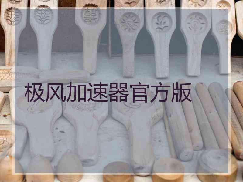 极风加速器官方版