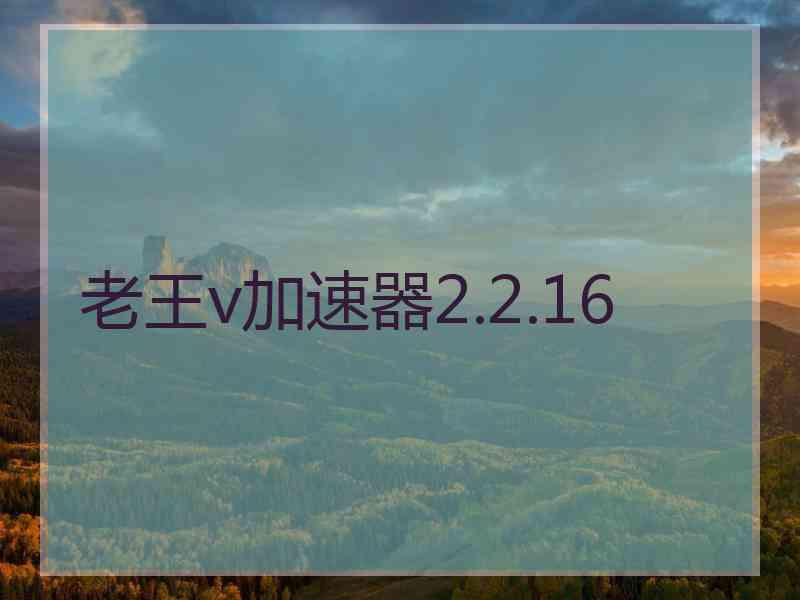 老王v加速器2.2.16
