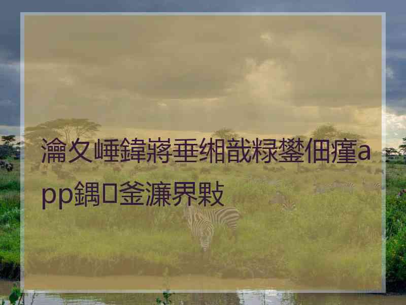 瀹夊崜鍏嶈垂缃戠粶鐢佃瘽app鍝釜濂界敤