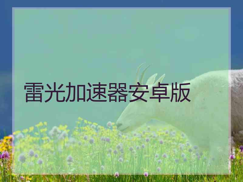 雷光加速器安卓版