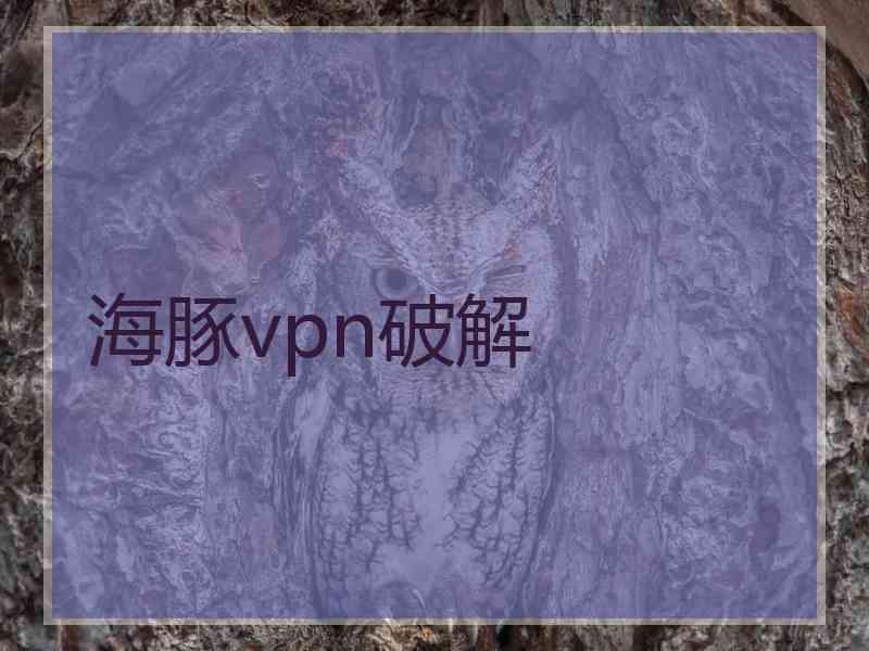 海豚vpn破解