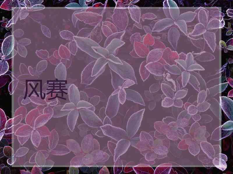 风赛