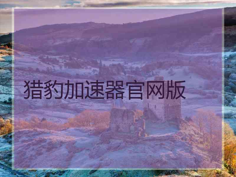 猎豹加速器官网版