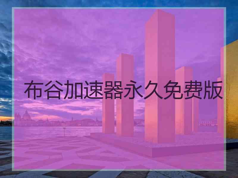 布谷加速器永久免费版