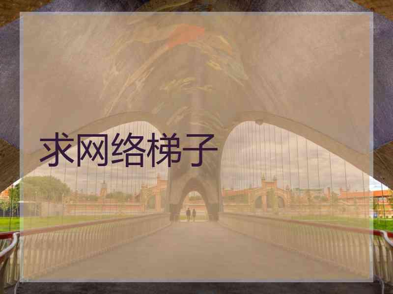 求网络梯子