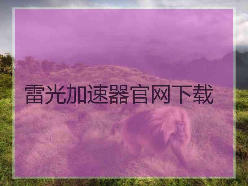 雷光加速器官网下载