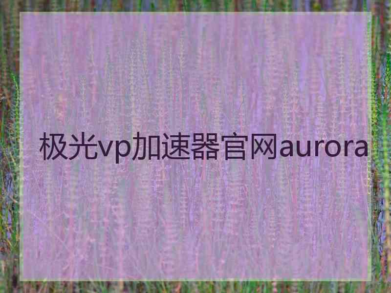 极光vp加速器官网aurora